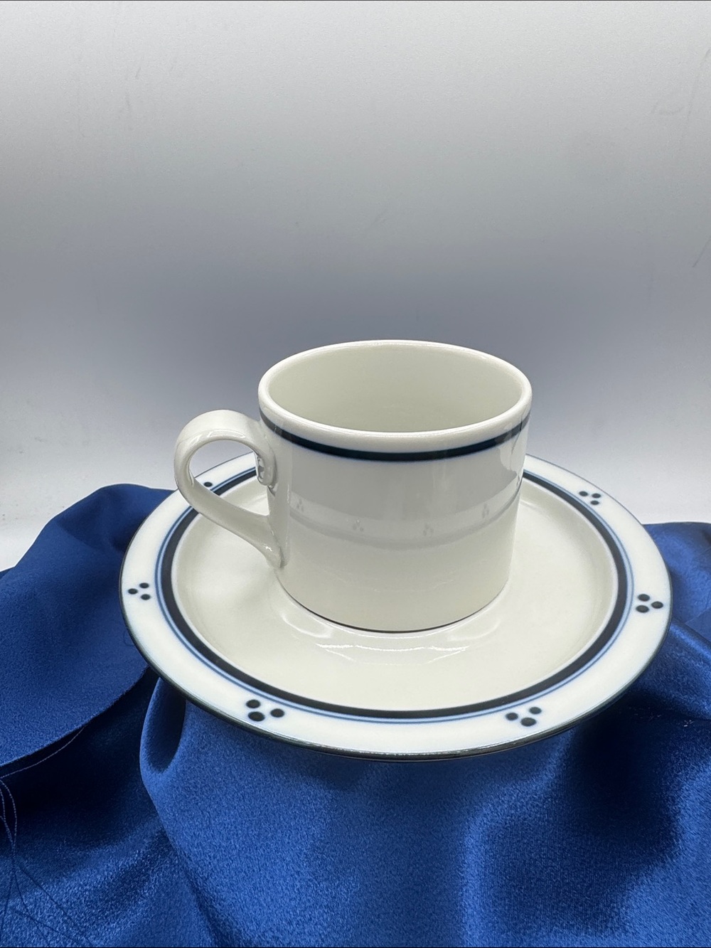 Vintage Dansk Bistro Fredriksborg Blue pattern coffee/tea cup and saucer set.